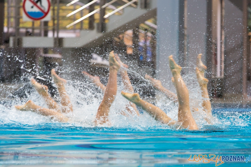 3 lata Term Maltańskich Foto: lepszyPOZNAN.pl / Piotr Rychter 3 lata Term Maltańskich Foto: lepszyPOZNAN.pl / Piotr Rychter