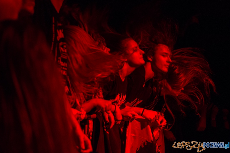 Grave w Eskulapie - 18.10.2014 r. Foto: LepszyPOZNAN.pl / Paweł Rychter Grave w Eskulapie - 18.10.2014 r. Foto: LepszyPOZNAN.pl / Paweł Rychter