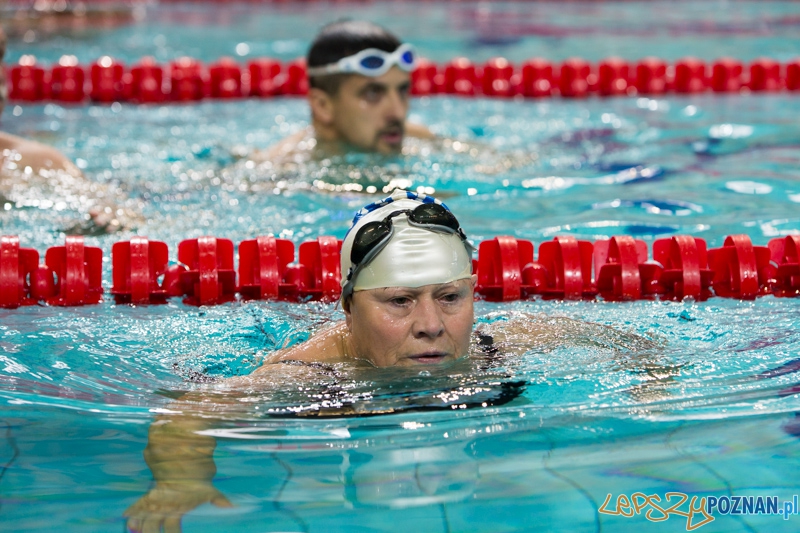 3 lata Term Maltańskich Foto: lepszyPOZNAN.pl / Piotr Rychter 3 lata Term Maltańskich Foto: lepszyPOZNAN.pl / Piotr Rychter