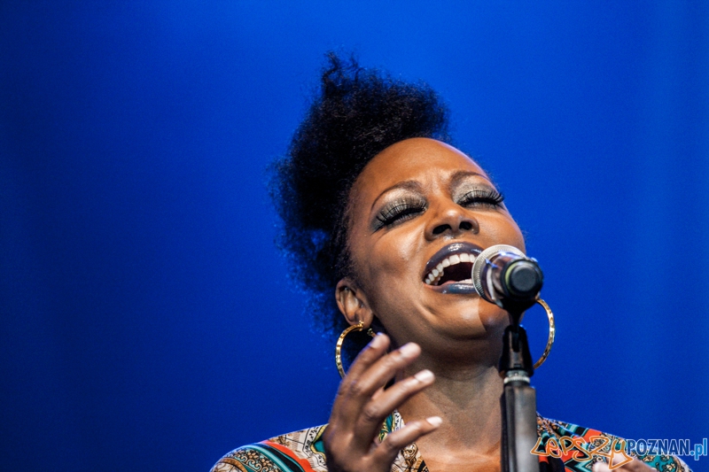 Chris Botti (5.10.2014) Sala Ziemi Foto: © LepszyPOZNAN.pl / Karolina Kiraga Chris Botti (5.10.2014) Sala Ziemi Foto: © LepszyPOZNAN.pl / Karolina Kiraga