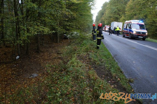 Samochód w rowie  Foto: st. str. Szymon Kujawa