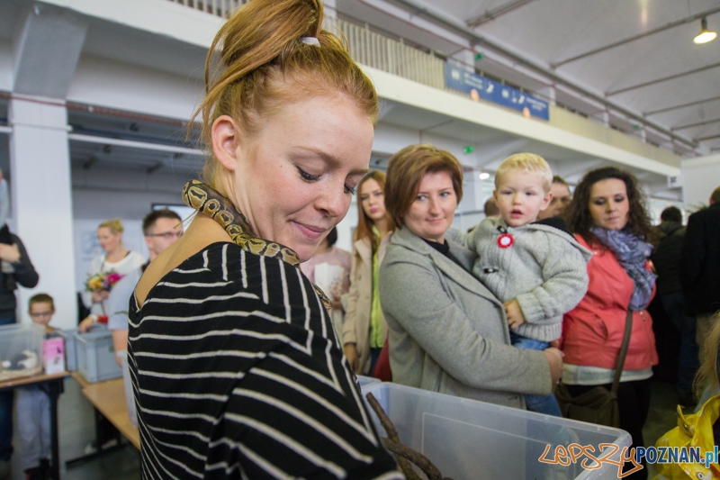 Targi Aqua & Zoo 2014 Foto: lepszyPOZNAN.pl / Piotr Rychter Targi Aqua & Zoo 2014 Foto: lepszyPOZNAN.pl / Piotr Rychter