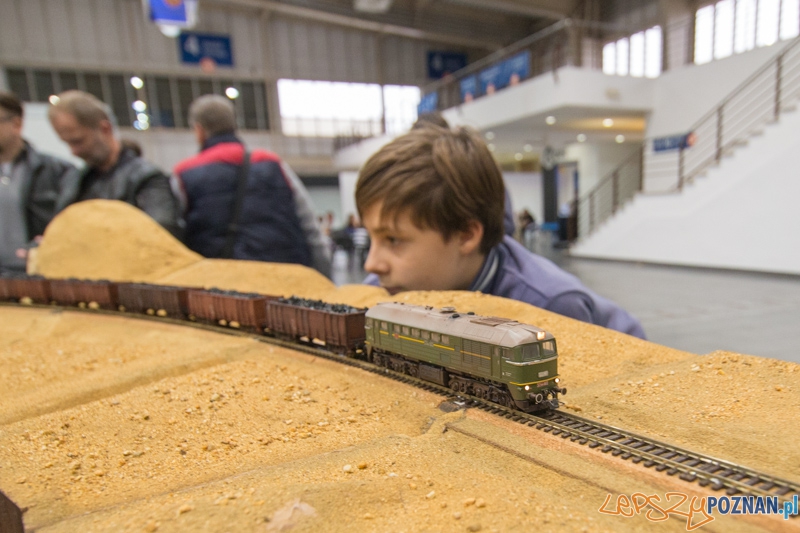 Targi Hobby 2014 Foto: lepszyPOZNAN.pl / Piotr Rychter Targi Hobby 2014 Foto: lepszyPOZNAN.pl / Piotr Rychter