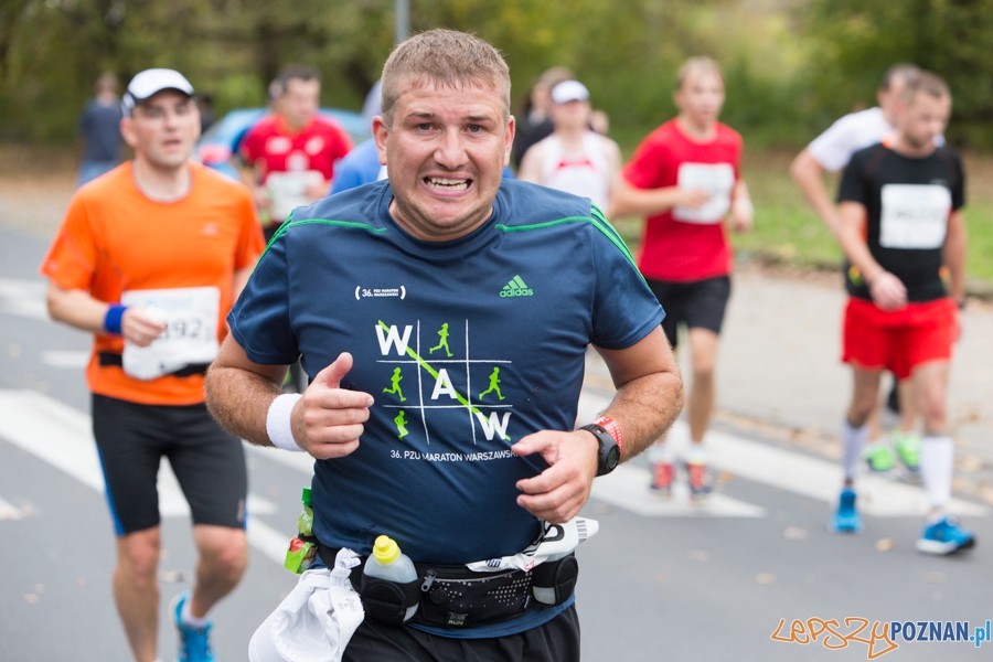 15. Poznań Maraton Foto: lepszyPOZNAN.pl / Piotr Rychter 15. Poznań Maraton Foto: lepszyPOZNAN.pl / Piotr Rychter