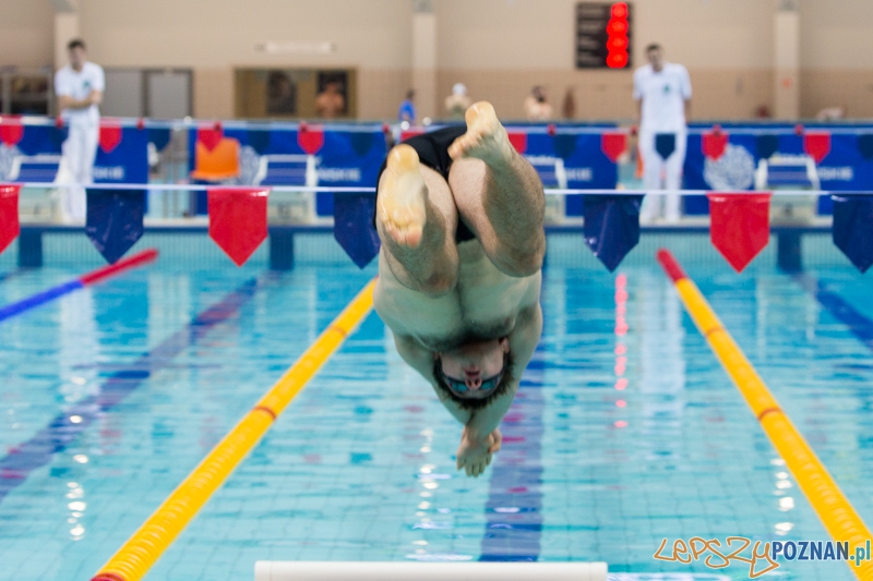 3 lata Term Maltańskich Foto: lepszyPOZNAN.pl / Piotr Rychter 3 lata Term Maltańskich Foto: lepszyPOZNAN.pl / Piotr Rychter