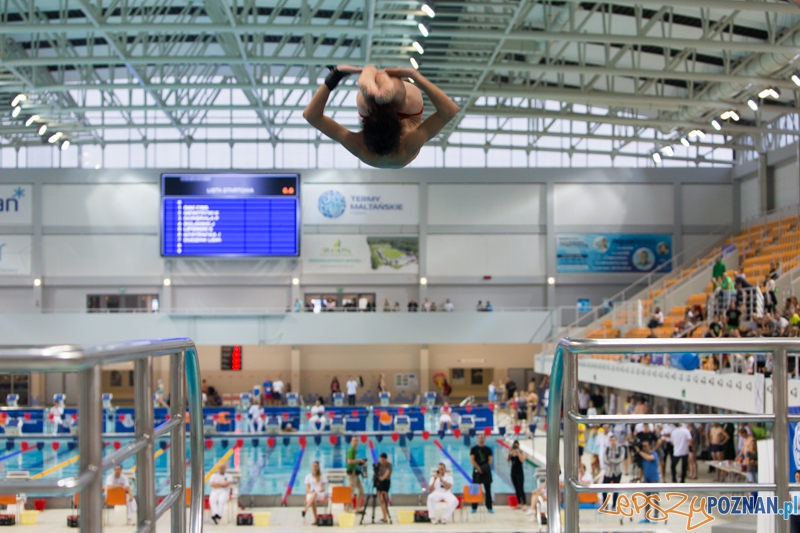 3 lata Term Maltańskich Foto: lepszyPOZNAN.pl / Piotr Rychter 3 lata Term Maltańskich Foto: lepszyPOZNAN.pl / Piotr Rychter