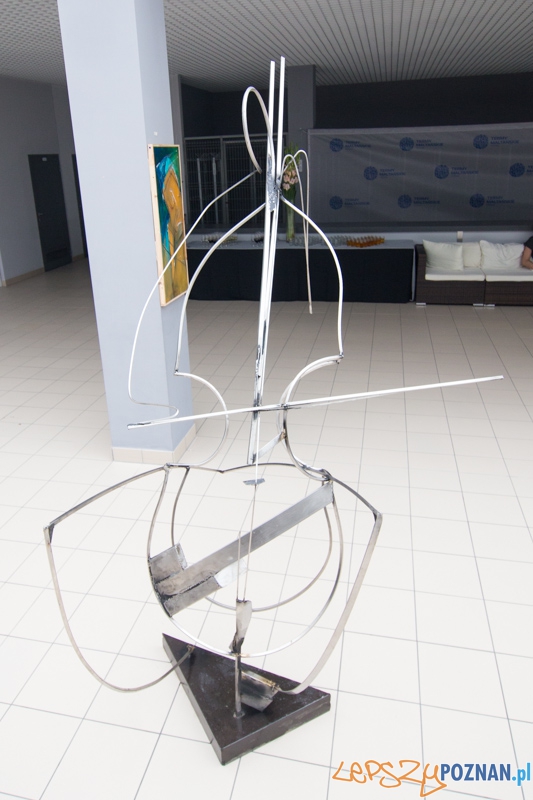 3 lata Term Maltańskich Foto: lepszyPOZNAN.pl / Piotr Rychter 3 lata Term Maltańskich Foto: lepszyPOZNAN.pl / Piotr Rychter