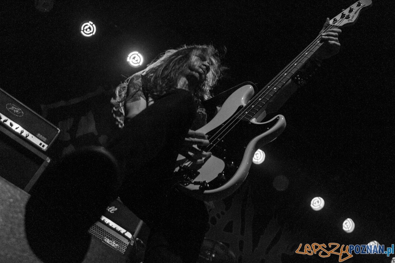 Grave w Eskulapie - 18.10.2014 r. Foto: LepszyPOZNAN.pl / Paweł Rychter Grave w Eskulapie - 18.10.2014 r. Foto: LepszyPOZNAN.pl / Paweł Rychter