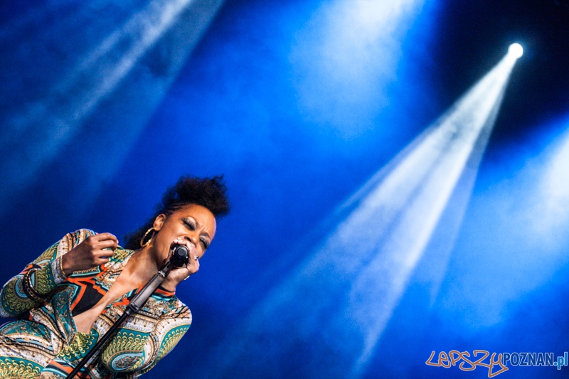 Chris Botti (5.10.2014) Sala Ziemi Foto: © LepszyPOZNAN.pl / Karolina Kiraga Chris Botti (5.10.2014) Sala Ziemi Foto: © LepszyPOZNAN.pl / Karolina Kiraga