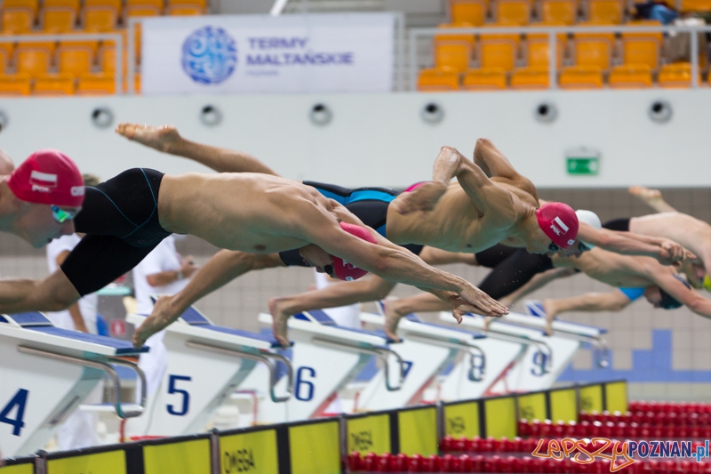 3 lata Term Maltańskich Foto: lepszyPOZNAN.pl / Piotr Rychter 3 lata Term Maltańskich Foto: lepszyPOZNAN.pl / Piotr Rychter