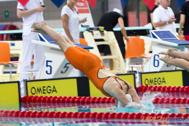 3 lata Term Maltańskich Foto: lepszyPOZNAN.pl / Piotr Rychter 3 lata Term Maltańskich Foto: lepszyPOZNAN.pl / Piotr Rychter