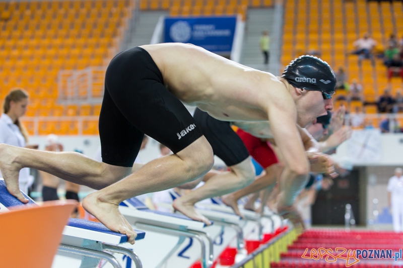 3 lata Term Maltańskich Foto: lepszyPOZNAN.pl / Piotr Rychter 3 lata Term Maltańskich Foto: lepszyPOZNAN.pl / Piotr Rychter