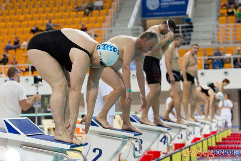 3 lata Term Maltańskich Foto: lepszyPOZNAN.pl / Piotr Rychter 3 lata Term Maltańskich Foto: lepszyPOZNAN.pl / Piotr Rychter