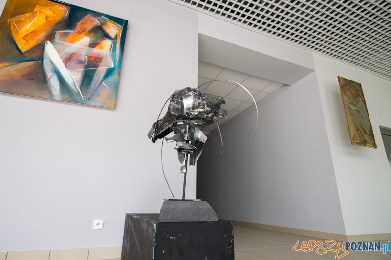 3 lata Term Maltańskich Foto: lepszyPOZNAN.pl / Piotr Rychter 3 lata Term Maltańskich Foto: lepszyPOZNAN.pl / Piotr Rychter