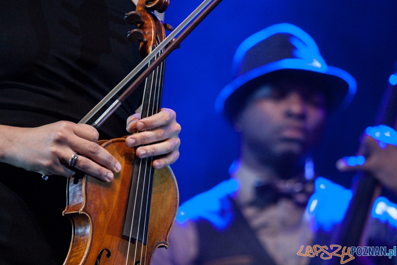 Chris Botti (5.10.2014) Sala Ziemi Foto: © LepszyPOZNAN.pl / Karolina Kiraga Chris Botti (5.10.2014) Sala Ziemi Foto: © LepszyPOZNAN.pl / Karolina Kiraga