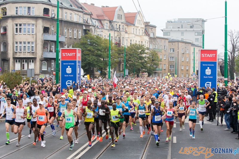 15. Poznań Maraton Foto: lepszyPOZNAN.pl / Piotr Rychter 15. Poznań Maraton Foto: lepszyPOZNAN.pl / Piotr Rychter