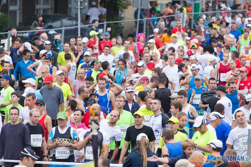 15. Poznań Maraton Foto: lepszyPOZNAN.pl / Piotr Rychter 15. Poznań Maraton Foto: lepszyPOZNAN.pl / Piotr Rychter