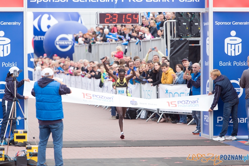15. Poznań Maraton Foto: lepszyPOZNAN.pl / Piotr Rychter 15. Poznań Maraton Foto: lepszyPOZNAN.pl / Piotr Rychter