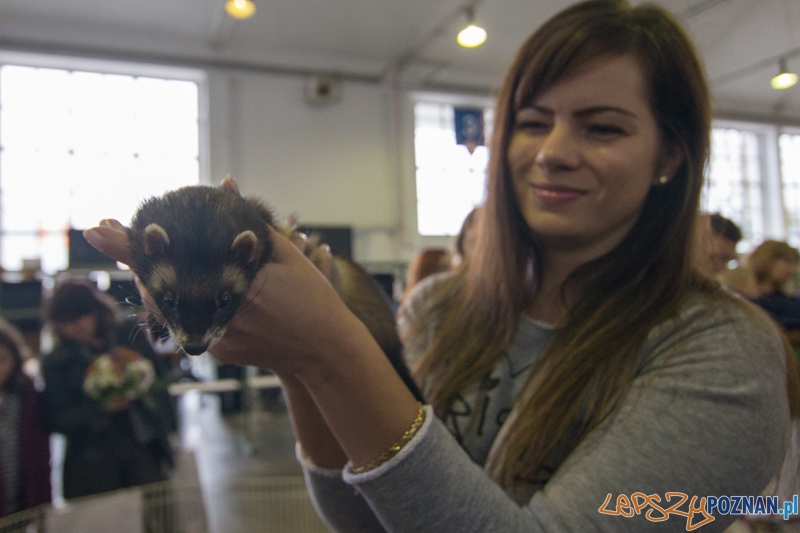 Targi Aqua & Zoo 2014 Foto: lepszyPOZNAN.pl / Piotr Rychter Targi Aqua & Zoo 2014 Foto: lepszyPOZNAN.pl / Piotr Rychter