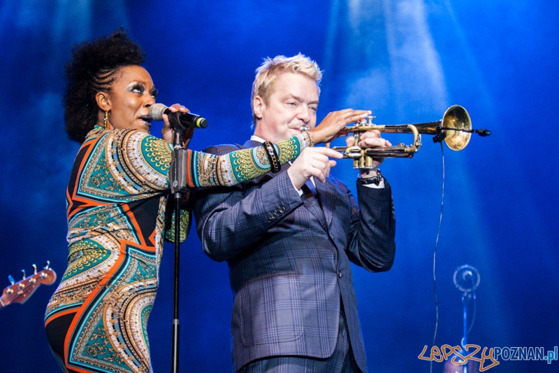 Chris Botti (5.10.2014) Sala Ziemi Foto: © LepszyPOZNAN.pl / Karolina Kiraga Chris Botti (5.10.2014) Sala Ziemi Foto: © LepszyPOZNAN.pl / Karolina Kiraga