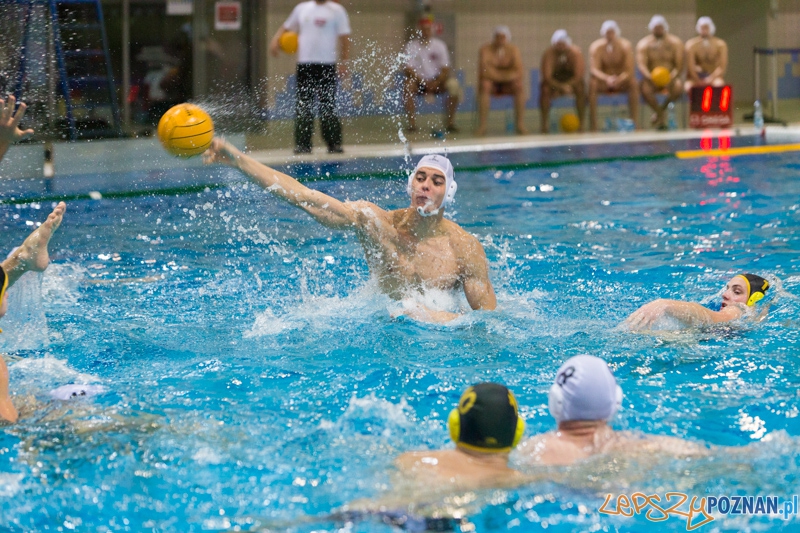 DSW Waterpolo Poznań - WTS Bytom Foto: lepszyPOZNAN.pl / Piotr Rychter DSW Waterpolo Poznań - WTS Bytom Foto: lepszyPOZNAN.pl / Piotr Rychter
