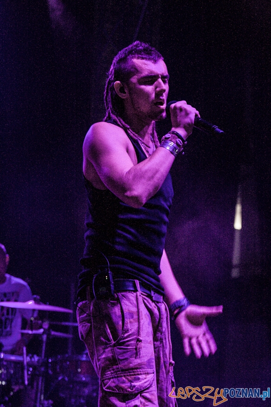 Bednarek (8.11.204) Hala nr 2 MTP Foto: © LepszyPOZNAN.pl / Karolina Kiraga Bednarek (8.11.204) Hala nr 2 MTP Foto: © LepszyPOZNAN.pl / Karolina Kiraga