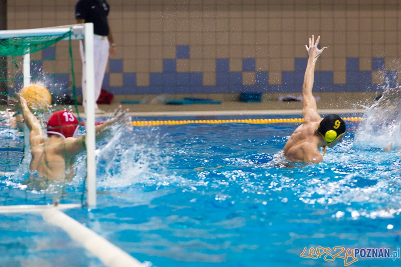 DSW Waterpolo Poznań - WTS Bytom Foto: lepszyPOZNAN.pl / Piotr Rychter DSW Waterpolo Poznań - WTS Bytom Foto: lepszyPOZNAN.pl / Piotr Rychter