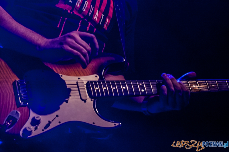 Edyta Bartosiewicz (28.11.2014) CK Zamek Foto: © LepszyPOZNAN.pl / Karolina Kiraga Edyta Bartosiewicz (28.11.2014) CK Zamek Foto: © LepszyPOZNAN.pl / Karolina Kiraga