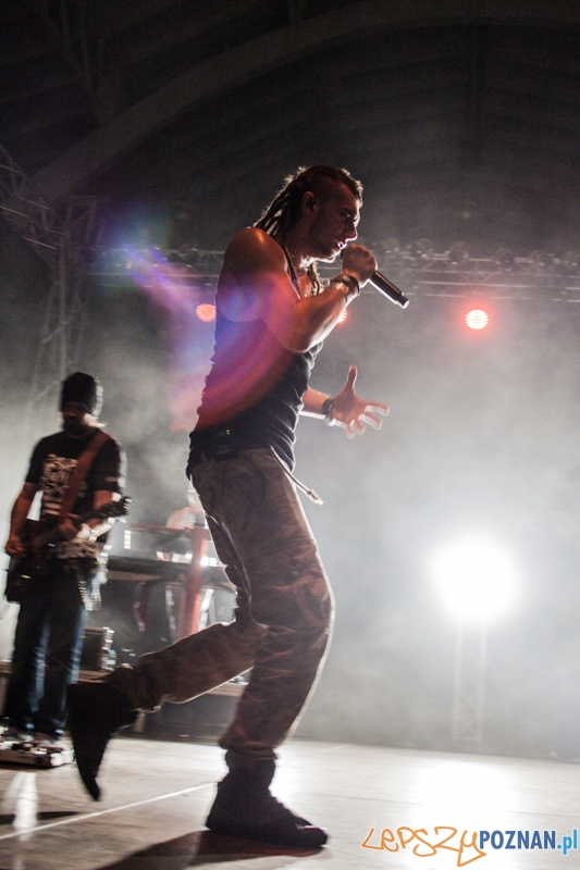 Bednarek (8.11.204) Hala nr 2 MTP Foto: © LepszyPOZNAN.pl / Karolina Kiraga Bednarek (8.11.204) Hala nr 2 MTP Foto: © LepszyPOZNAN.pl / Karolina Kiraga