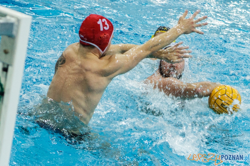 DSW Waterpolo Poznań - WTS Bytom - 23.11.2014 r. Foto: LepszyPOZNAN.pl / Paweł Rychter DSW Waterpolo Poznań - WTS Bytom - 23.11.2014 r. Foto: LepszyPOZNAN.pl / Paweł Rychter