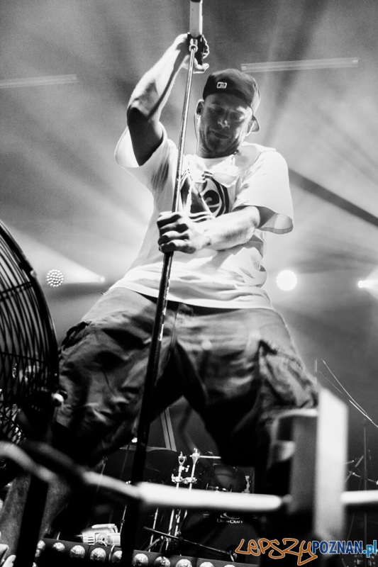 Afromental (20.11.2014) Eskulap Foto: © LepszyPOZNAN.pl / Karolina Kiraga Afromental (20.11.2014) Eskulap Foto: © LepszyPOZNAN.pl / Karolina Kiraga