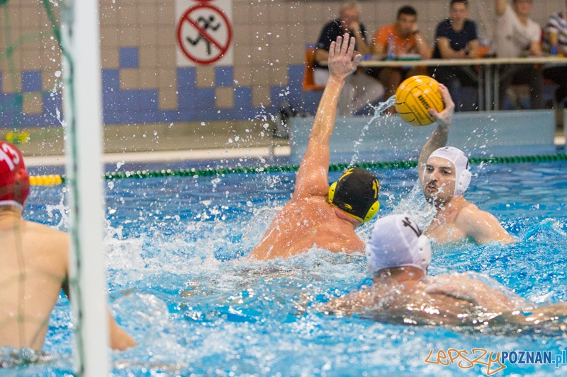 DSW Waterpolo Poznań - WTS Bytom Foto: lepszyPOZNAN.pl / Piotr Rychter DSW Waterpolo Poznań - WTS Bytom Foto: lepszyPOZNAN.pl / Piotr Rychter