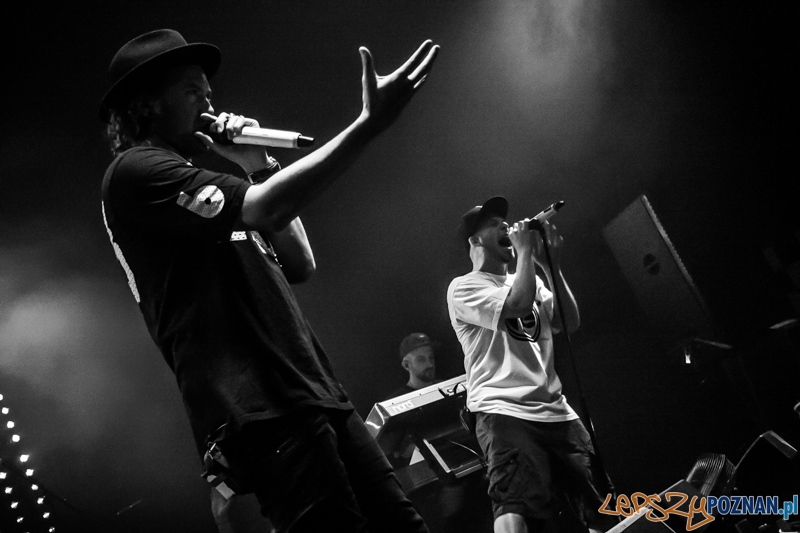 Afromental (20.11.2014) Eskulap Foto: © LepszyPOZNAN.pl / Karolina Kiraga Afromental (20.11.2014) Eskulap Foto: © LepszyPOZNAN.pl / Karolina Kiraga