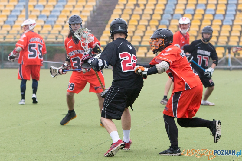 Polska Liga Lacrosse - Poznań Hussars vs Kosynierzy Wrocław Foto: lepszyPOZNAN.pl / Piotr Rychter Polska Liga Lacrosse - Poznań Hussars vs Kosynierzy Wrocław Foto: lepszyPOZNAN.pl / Piotr Rychter