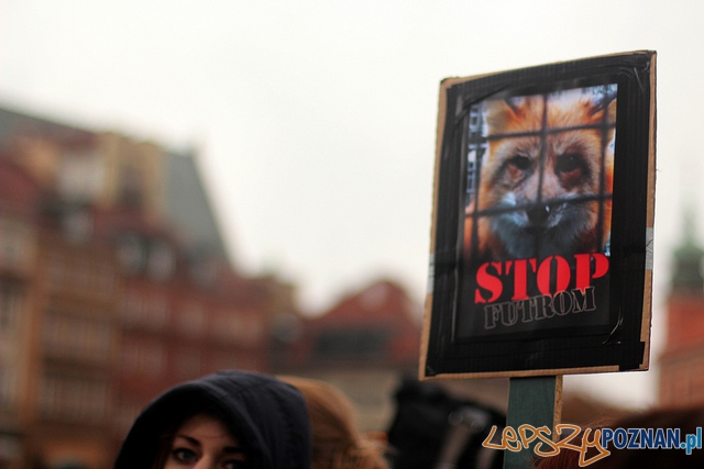 Animal Friendly Tour - Stowarzyszenie Otwarte Klatki  Foto: mat. prasowe