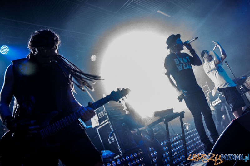 Afromental (20.11.2014) Eskulap Foto: © LepszyPOZNAN.pl / Karolina Kiraga Afromental (20.11.2014) Eskulap Foto: © LepszyPOZNAN.pl / Karolina Kiraga