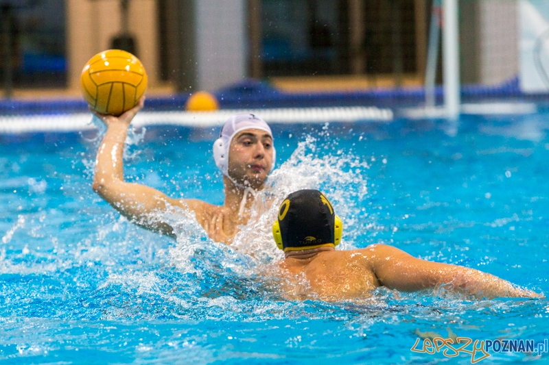 DSW Waterpolo Poznań - WTS Bytom Foto: lepszyPOZNAN.pl / Piotr Rychter DSW Waterpolo Poznań - WTS Bytom Foto: lepszyPOZNAN.pl / Piotr Rychter