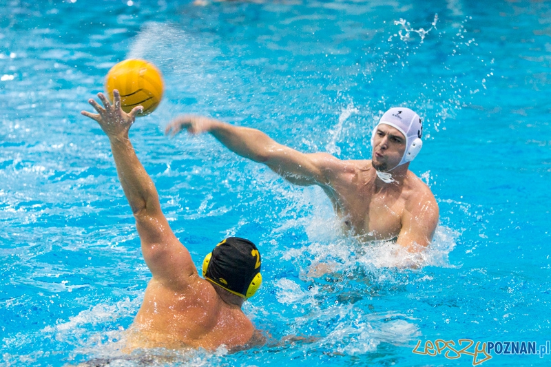DSW Waterpolo Poznań - WTS Bytom Foto: lepszyPOZNAN.pl / Piotr Rychter DSW Waterpolo Poznań - WTS Bytom Foto: lepszyPOZNAN.pl / Piotr Rychter