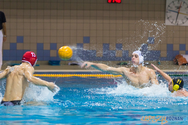 DSW Waterpolo Poznań - WTS Bytom Foto: lepszyPOZNAN.pl / Piotr Rychter DSW Waterpolo Poznań - WTS Bytom Foto: lepszyPOZNAN.pl / Piotr Rychter