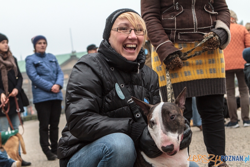 Marsz "Za krzywdy wyrządzone przez człowieka" - Poznań 09.11.2014 r. Foto: LepszyPOZNAN.pl / Paweł Rychter Marsz "Za krzywdy wyrządzone przez człowieka" - Poznań 09.11.2014 r. Foto: LepszyPOZNAN.pl / Paweł Rychter