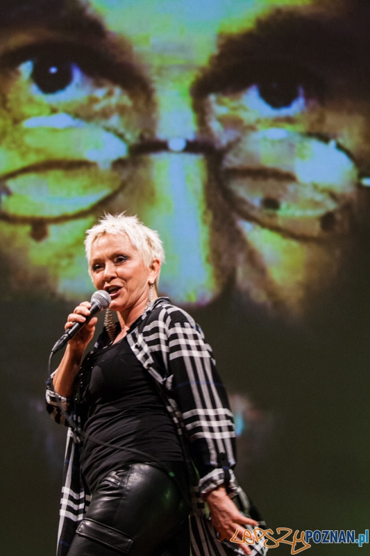 Festiwal Ale Kino - gala otwarcia (30.11.2014) CK Zamek Foto: © LepszyPOZNAN.pl / Karolina Kiraga Festiwal Ale Kino - gala otwarcia (30.11.2014) CK Zamek Foto: © LepszyPOZNAN.pl / Karolina Kiraga