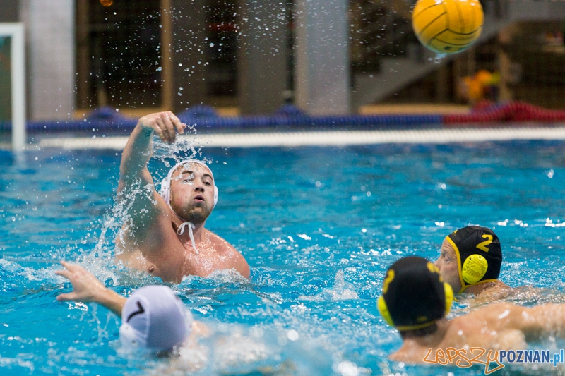 DSW Waterpolo Poznań - WTS Bytom Foto: lepszyPOZNAN.pl / Piotr Rychter DSW Waterpolo Poznań - WTS Bytom Foto: lepszyPOZNAN.pl / Piotr Rychter