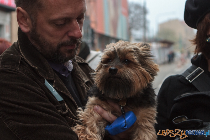 Marsz "Za krzywdy wyrządzone przez człowieka" - Poznań 09.11.2014 r. Foto: LepszyPOZNAN.pl / Paweł Rychter Marsz "Za krzywdy wyrządzone przez człowieka" - Poznań 09.11.2014 r. Foto: LepszyPOZNAN.pl / Paweł Rychter