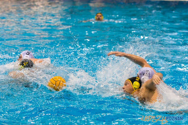 DSW Waterpolo Poznań - WTS Bytom Foto: lepszyPOZNAN.pl / Piotr Rychter DSW Waterpolo Poznań - WTS Bytom Foto: lepszyPOZNAN.pl / Piotr Rychter