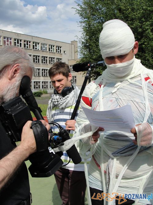 Startuje Ale Kino  Foto: M. Haremski