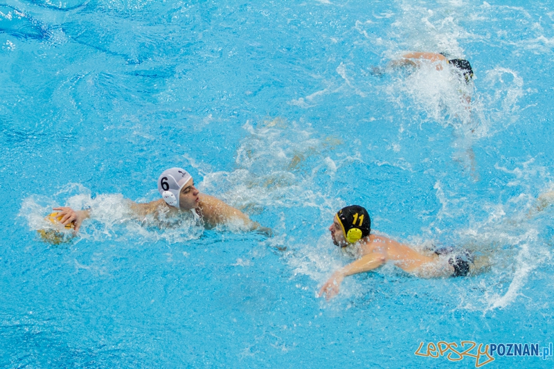 DSW Waterpolo Poznań - WTS Bytom - 23.11.2014 r. Foto: LepszyPOZNAN.pl / Paweł Rychter DSW Waterpolo Poznań - WTS Bytom - 23.11.2014 r. Foto: LepszyPOZNAN.pl / Paweł Rychter