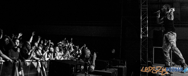 Bednarek (8.11.204) Hala nr 2 MTP Foto: © LepszyPOZNAN.pl / Karolina Kiraga Bednarek (8.11.204) Hala nr 2 MTP Foto: © LepszyPOZNAN.pl / Karolina Kiraga