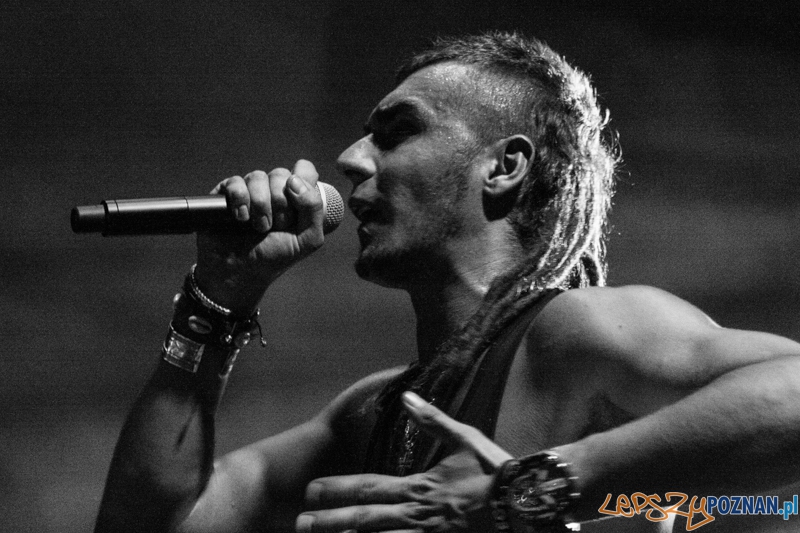 Bednarek (8.11.204) Hala nr 2 MTP Foto: © LepszyPOZNAN.pl / Karolina Kiraga Bednarek (8.11.204) Hala nr 2 MTP Foto: © LepszyPOZNAN.pl / Karolina Kiraga