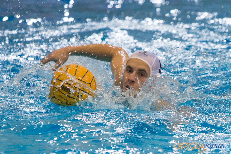 DSW Waterpolo Poznań - WTS Bytom Foto: lepszyPOZNAN.pl / Piotr Rychter DSW Waterpolo Poznań - WTS Bytom Foto: lepszyPOZNAN.pl / Piotr Rychter