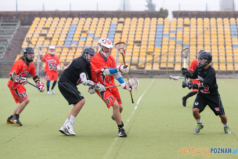Polska Liga Lacrosse - Poznań Hussars vs Kosynierzy Wrocław Foto: lepszyPOZNAN.pl / Piotr Rychter Polska Liga Lacrosse - Poznań Hussars vs Kosynierzy Wrocław Foto: lepszyPOZNAN.pl / Piotr Rychter